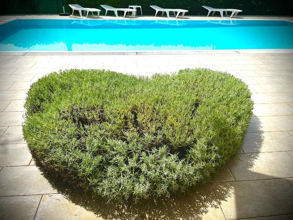 Pansion Margerita, Foto 8